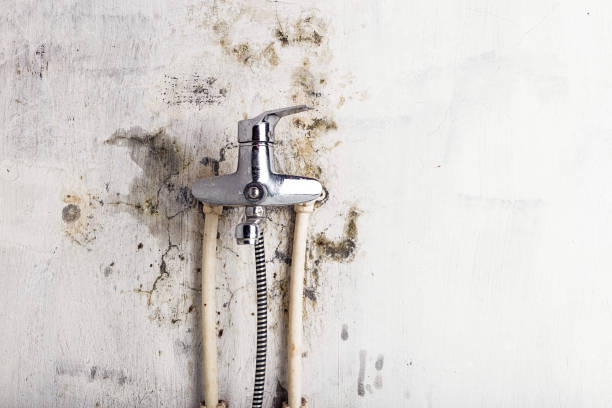 Best Mold Cleaning Services  in Lisbon, OH