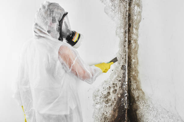 Best Mold Testing  in Lisbon, OH
