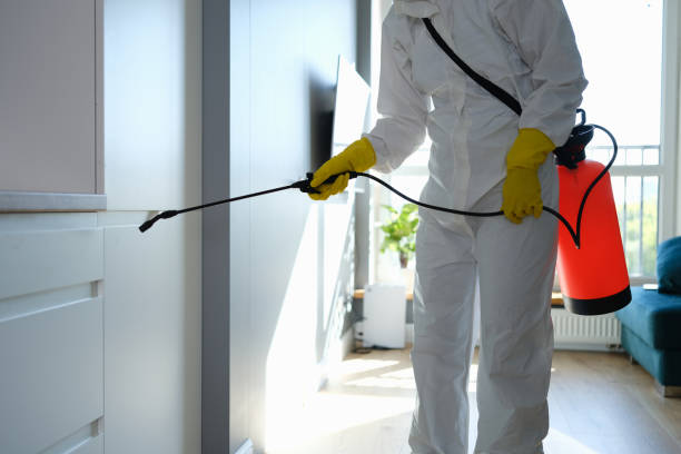 Professional Mold Removal in Lisbon, OH