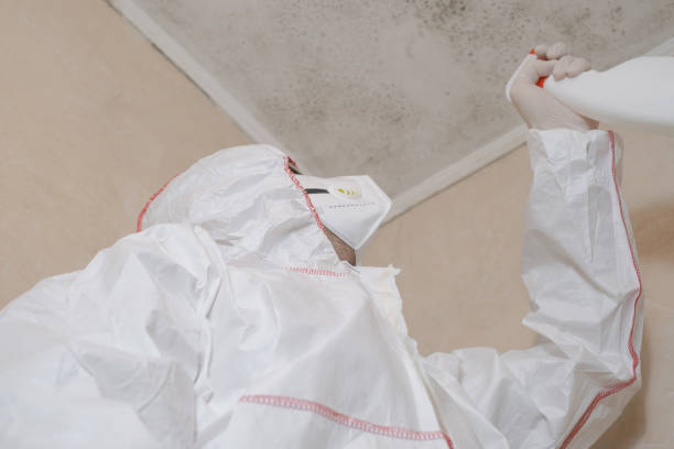 Best Commercial Mold Removal  in Lisbon, OH