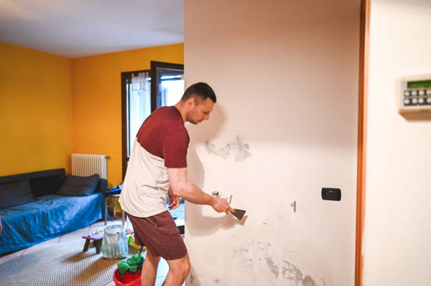 Professional Mold Removal in Lisbon, OH